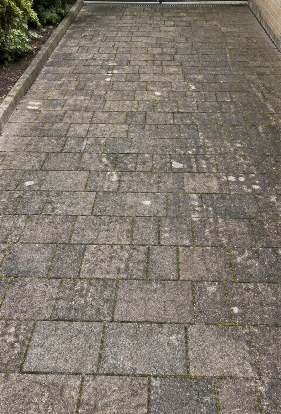 Einfahrt vor der Reinigung: vermoostes, verschmutztes Pflaster